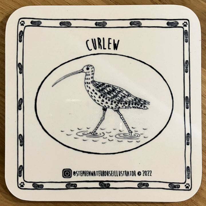 Curlew Coaster by Stephen Waterhouse